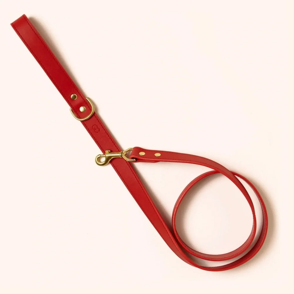 Genuine Canine leather dog leash 6ft